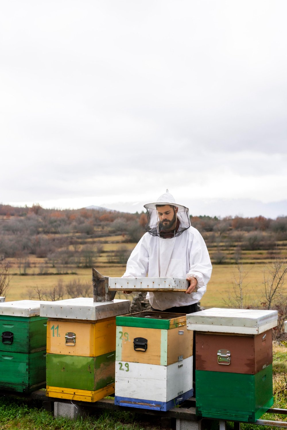 Beekeeper